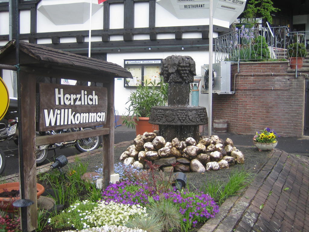 Landhotel Weinhaus Treis Weinähr エクステリア 写真