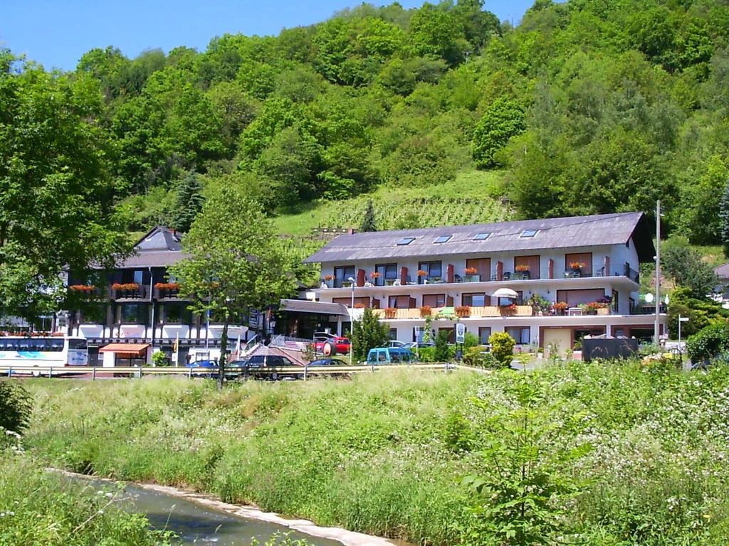 Landhotel Weinhaus Treis Weinähr エクステリア 写真